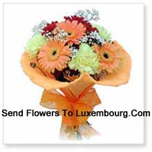 Cute Bunch Of 11 Gerberas Delivered in Luxembourg