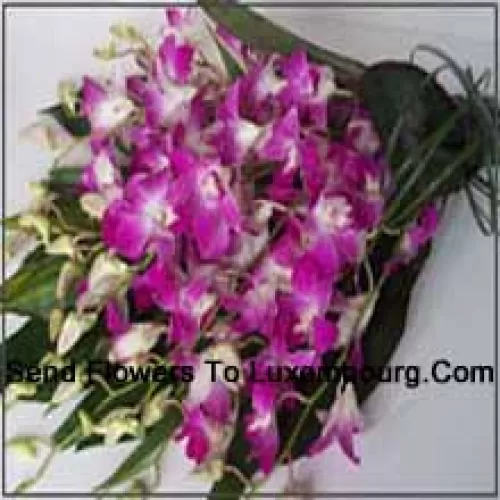 Bunch Of Orchids With Seasonal Fillers