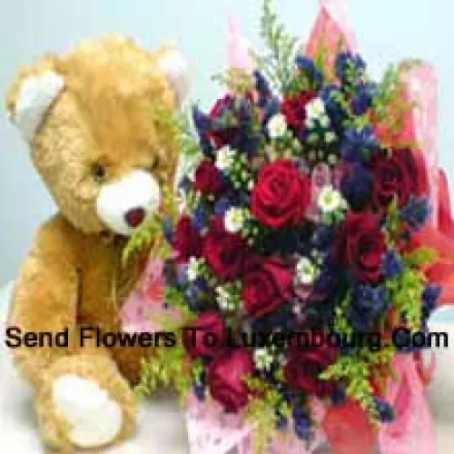 Bunch Of 11 Red Roses With Fillers And A Medium Sized Cute Teddy Bear