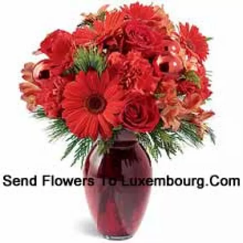 A beautiful holiday red glass vase holds an array of crimson blossoms. Carnations, roses, Gerbera daisies and alstroemeria are decorated with shiny red glass ornaments and interspersed with Christmas greens. Great to give, or to keep for yourself!? (Please Note That We Reserve The Right To Substitute Any Product With A Suitable Product Of Equal Value In Case Of Non-Availability Of A Certain Product)