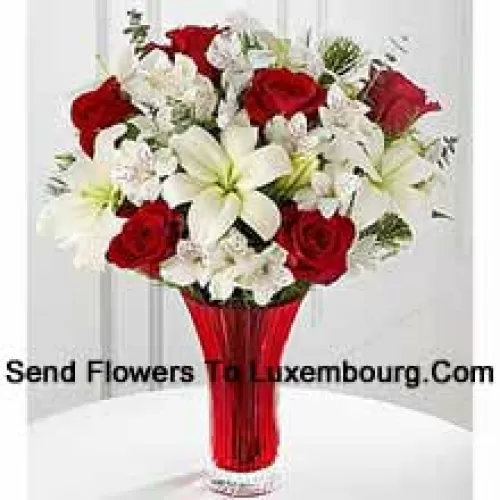 This Bouquet?is a gorgeous expression of yuletide joy and elegance. Red roses pop against a background of white Asiatic lilies and Peruvian lilies lovingly arranged in a red designer glass vase to create a bouquet of seasonal celebration. (Please Note That We Reserve The Right To Substitute Any Product With A Suitable Product Of Equal Value In Case Of Non-Availability Of A Certain Product)